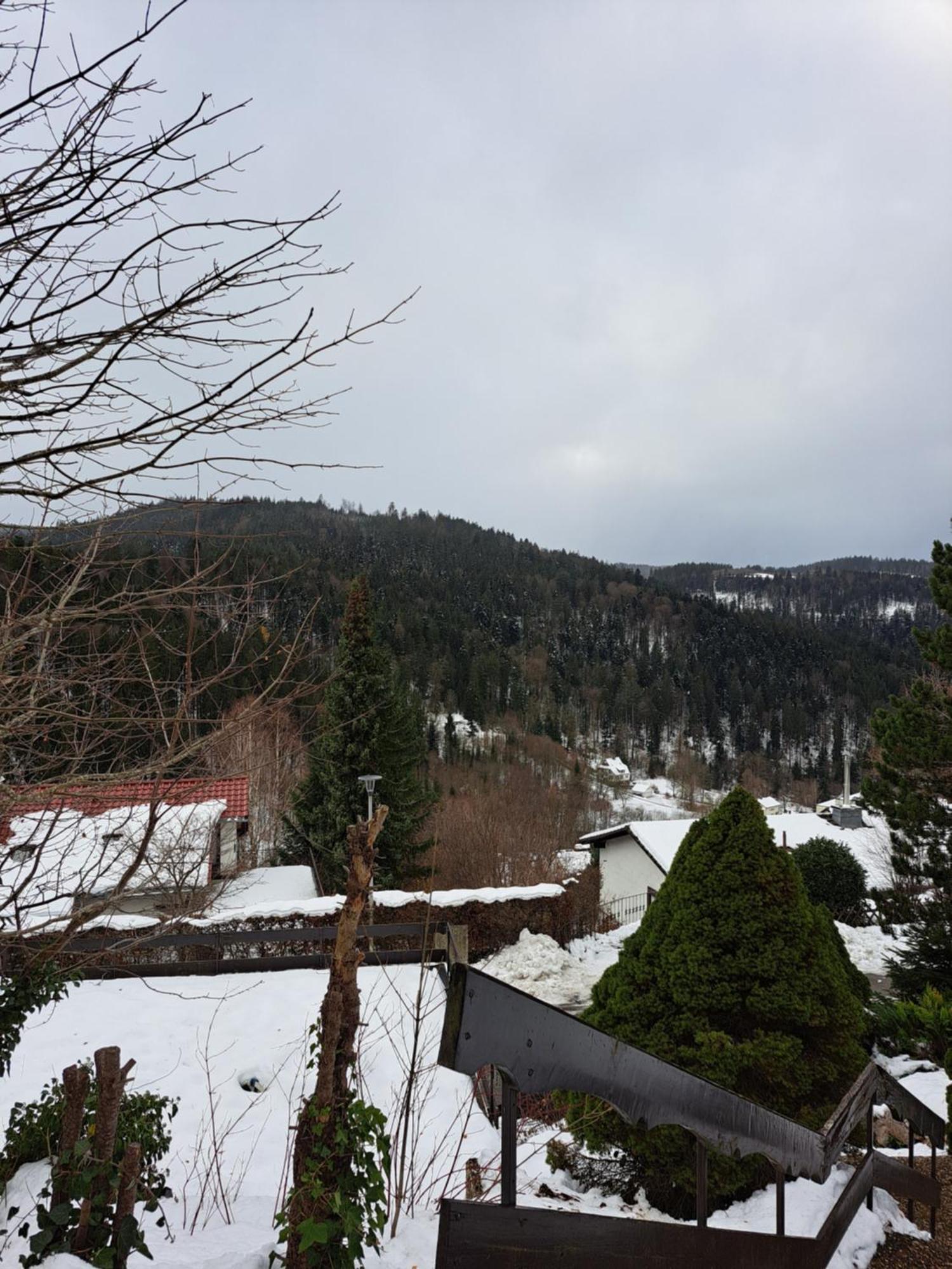 Grosse Ferienwohnung In Ruhiger Lage Mit Toller Aussicht In Triberg Triberg im Schwarzwald Esterno foto