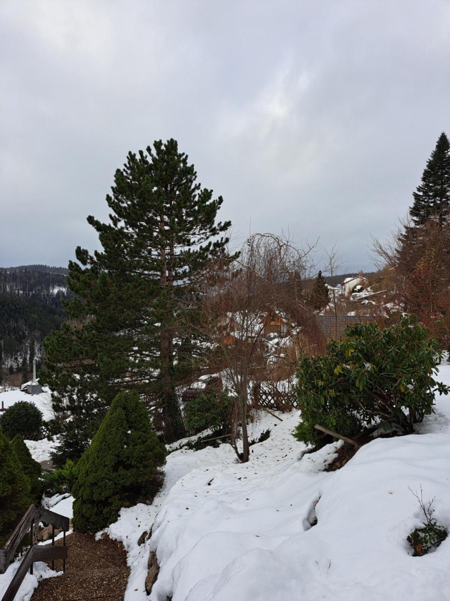 Grosse Ferienwohnung In Ruhiger Lage Mit Toller Aussicht In Triberg Triberg im Schwarzwald Esterno foto