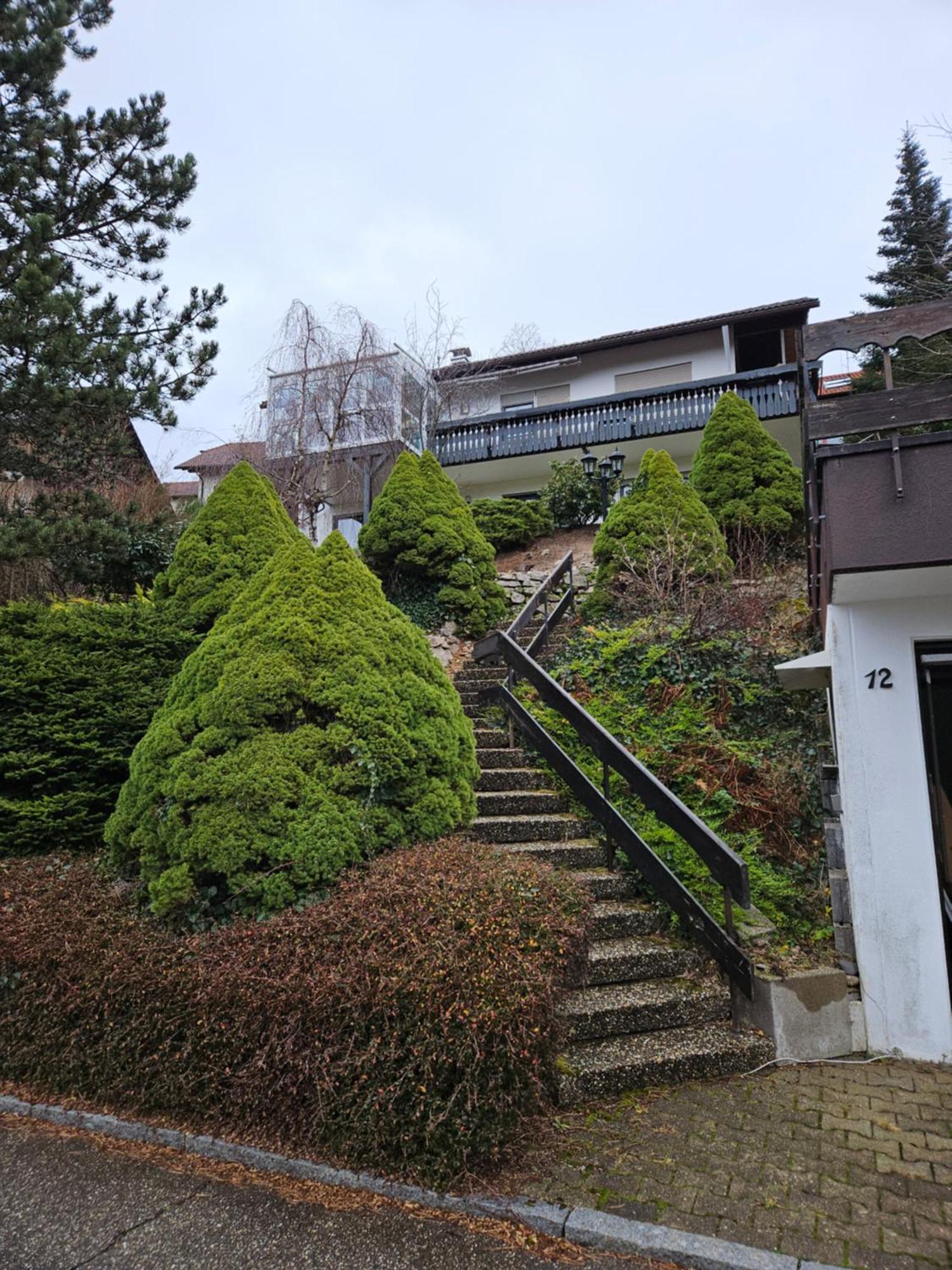 Grosse Ferienwohnung In Ruhiger Lage Mit Toller Aussicht In Triberg Triberg im Schwarzwald Esterno foto
