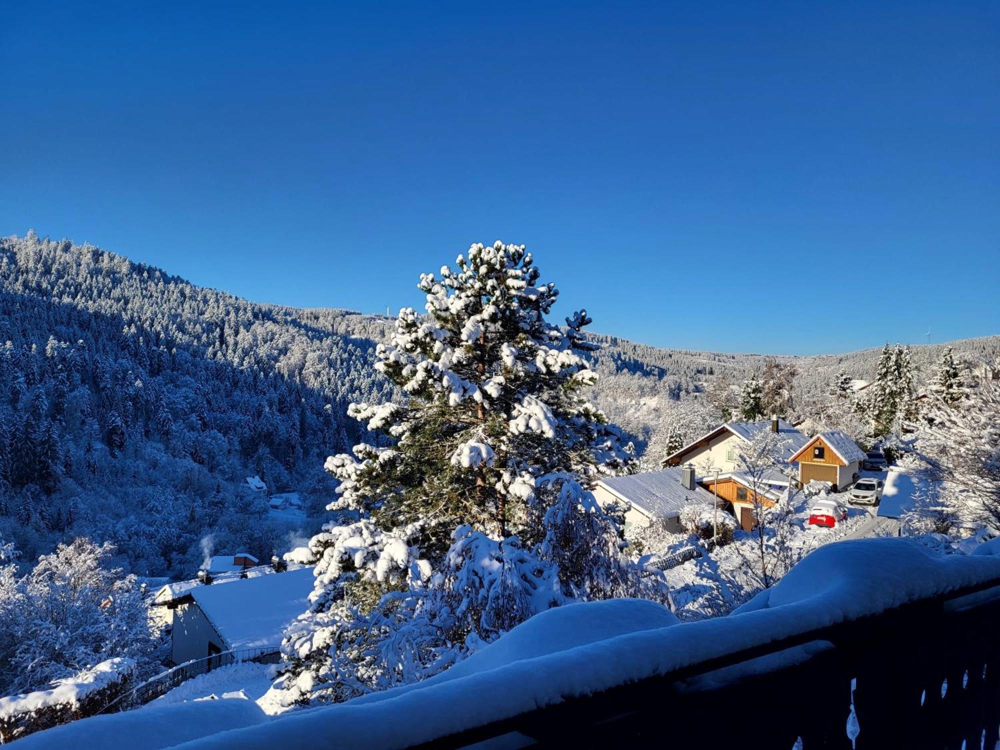 Grosse Ferienwohnung In Ruhiger Lage Mit Toller Aussicht In Triberg Triberg im Schwarzwald Esterno foto