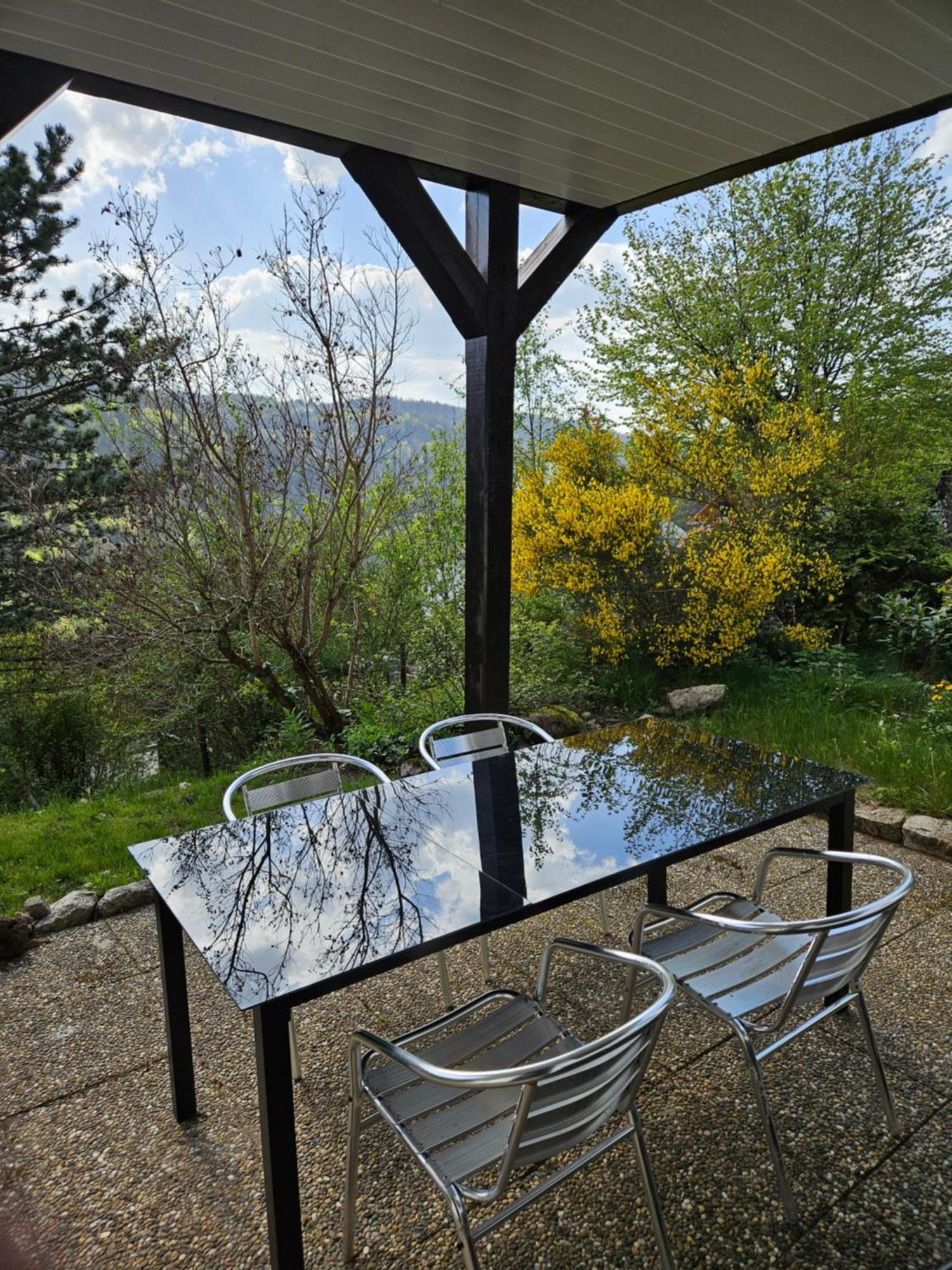 Grosse Ferienwohnung In Ruhiger Lage Mit Toller Aussicht In Triberg Triberg im Schwarzwald Esterno foto